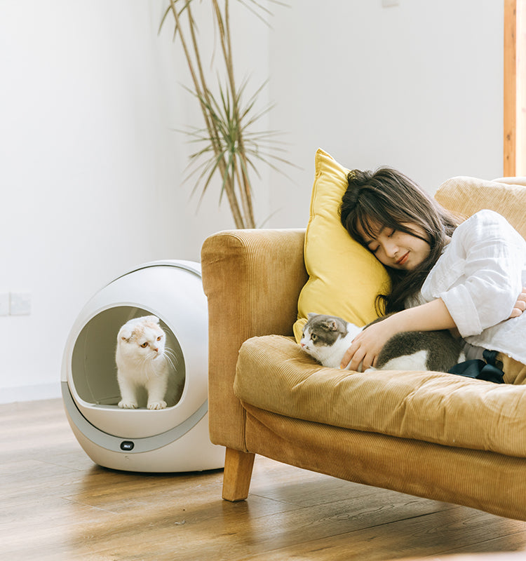 Petree Cat Litter Box 1.0