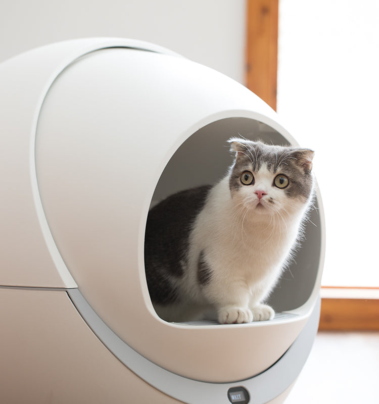 Petree Cat Litter Box 1.0