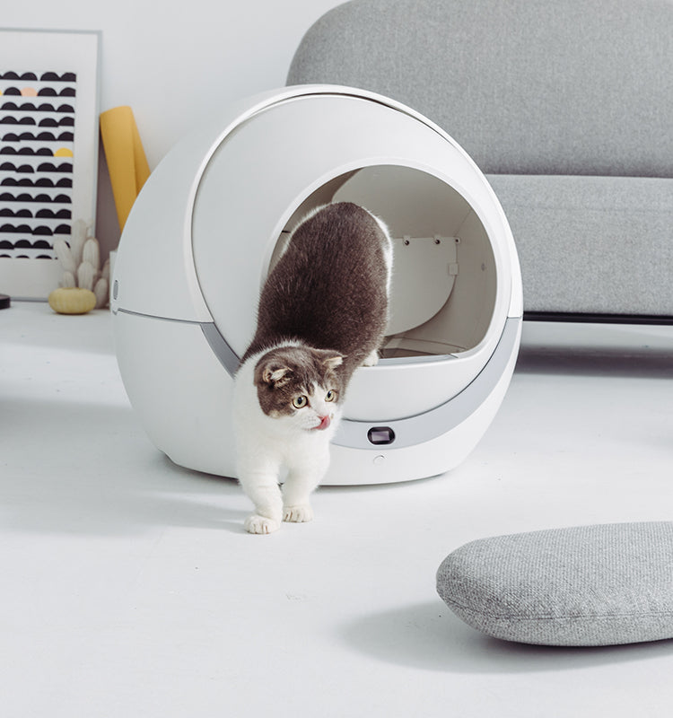 Petree Cat Litter Box 1.0