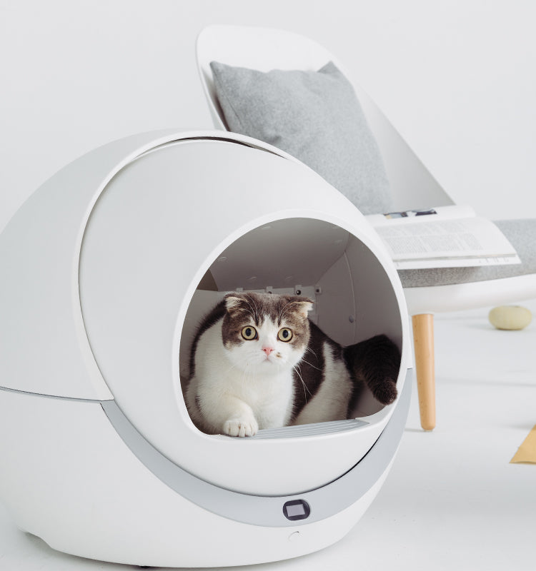 Petree Cat Litter Box 1.0