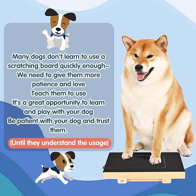 Green Dog Nail Scratching Board, Wooden Dog Claw File Toy, Nail Scratch Pad with Snack Box & Replacement Sandpaper, Pet Supplies for Trimming & Grooming